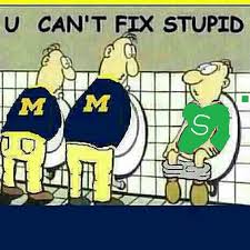 Image result for michigan vs michigan state fans
