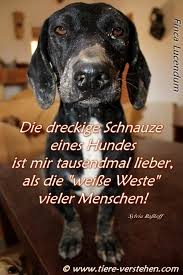 We did not find results for: Pin Von San Nug Auf Tierschutz Verein Spruche Tiere Hunde Hundespruche