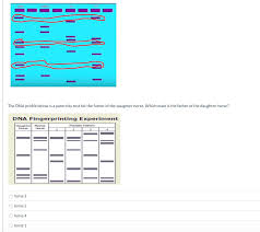 We did not find results for: As Dna Profiling Became More Common It Was Important Chegg Com