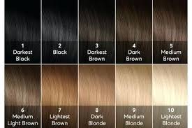 Light Brown Hair Color Chart Fooru Me