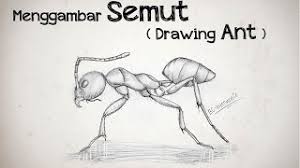 Ada lebih dari 10ribu spesies semut yang dikenal hidup di seluruh dunia. Drawing Tutorial Tutorial Menggambar Semut Ant Drawing Tutorials By Bc Intermedia Art