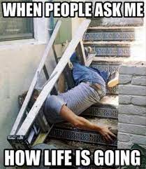 97 Amazing Collection Of Life Memes