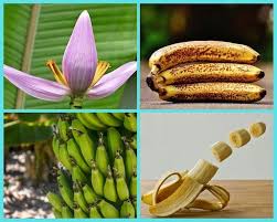 banán kálium tartalma