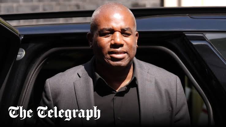 David Lammy fighting to 'cover up' foreigners' crimes