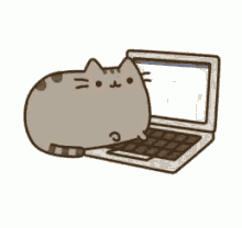 We present you our collection of desktop wallpaper theme: Pusheen On Computer Gifs Tenor