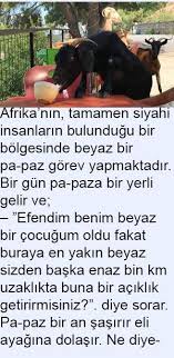 Afrikanin 2020 Siyah Insanlar Afrika Siyah