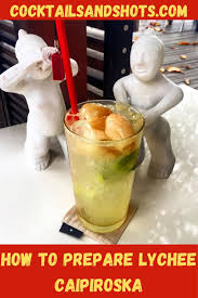 A chilled glass always contributes to the excellence and enjoyment of a cocktail. How To Make The Lychee Caipiroska Lychee Winter Cocktails Fun Cocktails