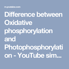 Difference Between Oxidative Phosphorylation And Photophosphorylation Youtube Simplified Concept Video Oxidative Phosphorylation Biochemistry Different