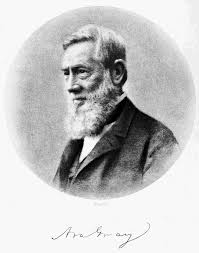 Image result for Anthephora pungens