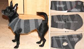 Entra e scopri la nostra ampia gamma su zooplus.it ► acquista subito ! Cappottino Per Cani Fai Da Te Da Un Vecchio Maglione Greenme