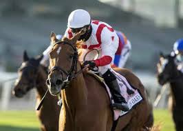 Bookmakers Allowed Entry Into Madras Race Club Horse Racing Gets A Boost Chennai News Times Of India After independence, in pursuance of the government's policy to discourage distinctions between communities based on race. bookmakers allowed entry into madras