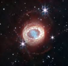 Image result for Searsia nebulosa