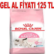 royal canin babycat 2 kg amazon pet center 2021 kedi yavru kediler balik yagi
