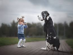 see more riesige hunde hunde und kinder grosse hunde