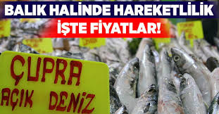 Denizli Balik Hali Hareketli Iste Balik Fiyatlari Deda Haber
