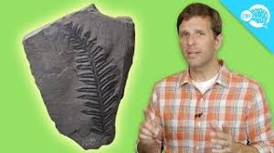 Professor willard libby produced the first radiocarbon dates in 1949 and was later awarded the nobel prize for his efforts. How Carbon Dating Works Youtube