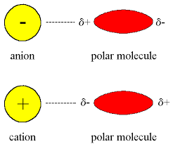 (left) in the formation of sodium chloride from metallic sodium and gaseous chlorine, the. Ion Dipole Forces