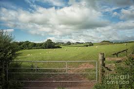 The terrain was very much mountains. Countryside In Wales Photograph By Patricia Hofmeester