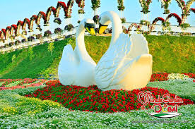 Flower garden stock photos and images. Dubai Miracle Garden The World S Biggest Natural Flower Garden With Over 45 Million Flowers Architecture Design