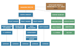 organisation chart power projects international