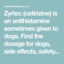 Zyrtec Cetirizine Is An Antihistamine Sometimes Given To