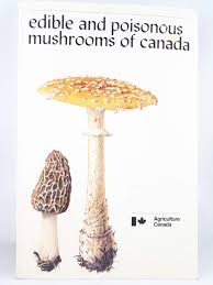 We did not find results for: Edible And Poisonous Mushrooms Of Canada Groves J Walton 9780660101361 Books Amazon Ca