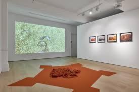 I made a website where you can put bernie in places using google maps street view. Berni Searle Biography Richard Saltoun