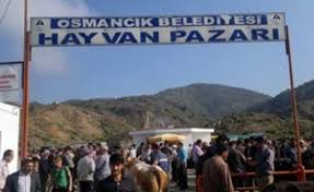 Osmancik Hayvan Pazari Da Kapatildi