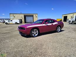 Image result for Furious Fuchsia 2010 Challenger