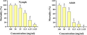 Image result for Ocimum minutiflorum