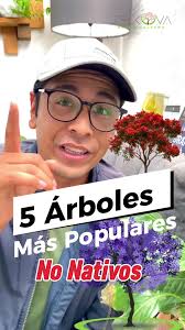 5 Árboles No Nativos Comunes en México
