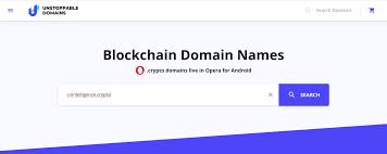 Learn How To Set Up Your Own Blockchain Domain