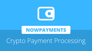 It started its operations in 2011. Nowpayments Ceo Joins Neo News Today Podcast To Discuss Cryptocurrency Payment Processing Neo News Today