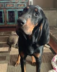 Maybe you would like to learn more about one of these? Mari Walz Zlaw Profile Pinterest