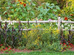 See more ideas about split rail fence, rail fence, fence. 28 Split Rail Fence Ideas For Acreages And Private Homes Home Stratosphere
