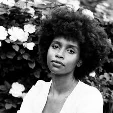 Kathryn Tolbert (@kathryntolbert)