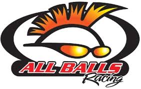 Image result for 5790529399 all-balls-racing