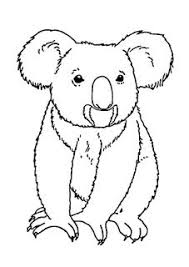 Pin By Kent Riley On Zeichnen Koala Drawing Animal Coloring Pages Bear Coloring Pages
