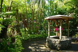 We did not find results for: Hawaii Tropical Botanical Garden