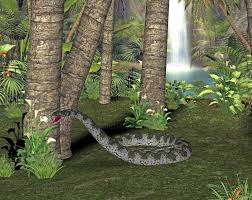 Namun banyak juga yang panjangnya bisa mencapai 13 meter dengan ukuran tubuh sebesar pohon kelapa. 5 Fakta Titanoboa Ular Purba Terbesar Yang Pernah Hidup Di Muka Bumi