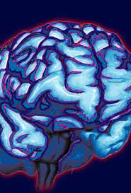 What do we know about delusional misidentification disorders? A focus on  Capgras syndrome