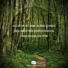 Zitate Neue Wege Berühmte Zitate Um Ihr Leben Zu Verbessern