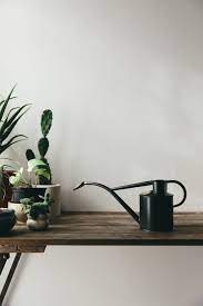 A Dark And Moody Piece For Contemplative Plant Keepers Beautiful Indoor Watering Can In Graphite With A Remov Indoor Watering Can Indoor Watering Watering Can