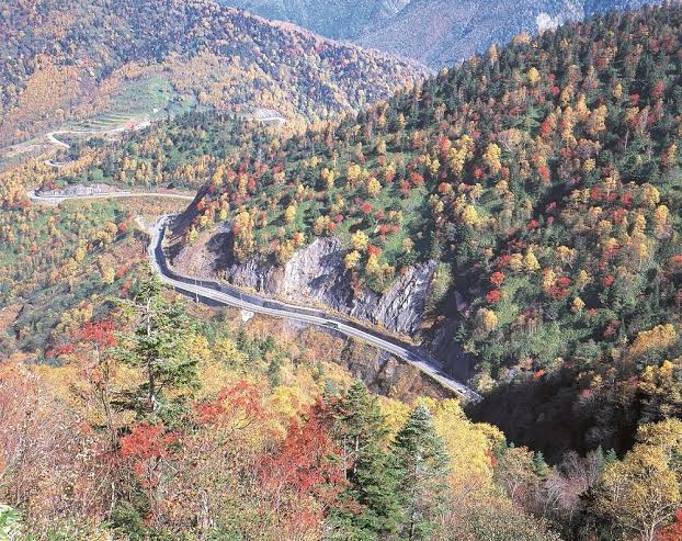 乗鞍スカイラインの紅葉(岐阜県) ｜紅葉名所2026