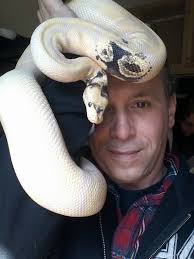 I raise ball pythons in my spare time
