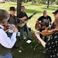 Bullypulpit Bluegrass - Waseca