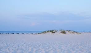 Best ways to get there. 9 Top Rated Beaches In Alabama Planetware