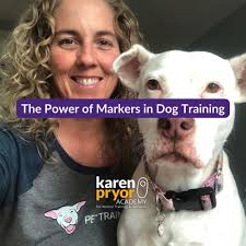 Safe Dogs By The River