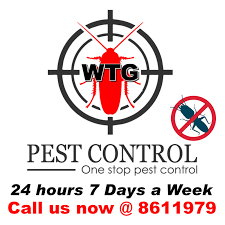 We are experts in household pest control, lawn spraying, termite control, and lawn fertilization. Termite Control Singapore Home Facebook