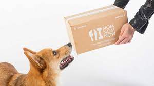 How much does it cost to ship a puppy? 10 Dog Food Delivery Services You Must Try Petlife